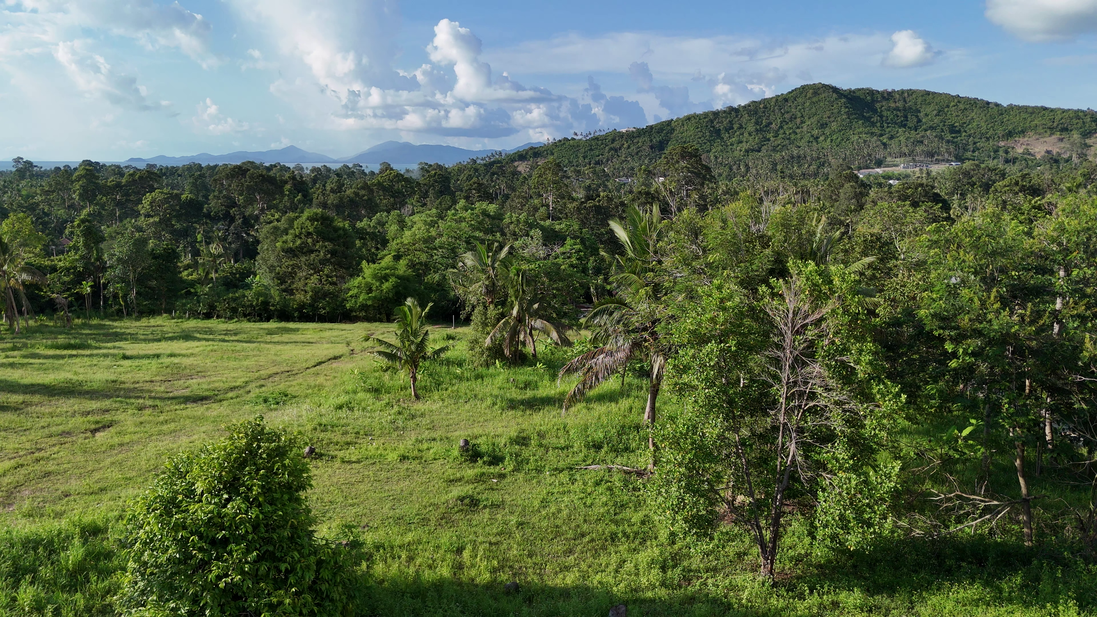 Drone view of the land